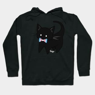 Trans Pride Kitty Hoodie